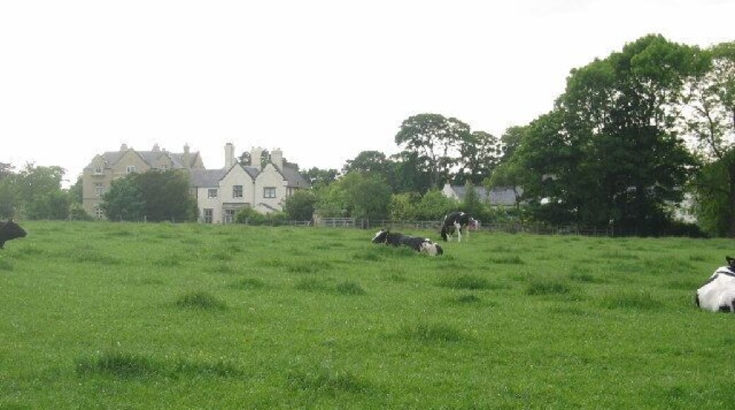 Norley Hall. Norley Hall taken from the minor road looking across pasture land.