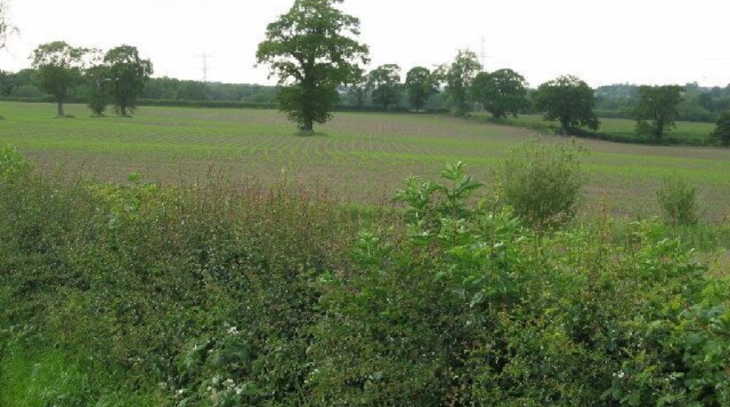 View from Norley Lane. A typical Cheshire country view