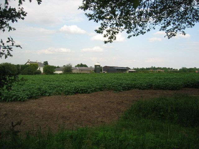 Home Farm, Norley. Taken from the B road (Norley Lane)looking East to the farm