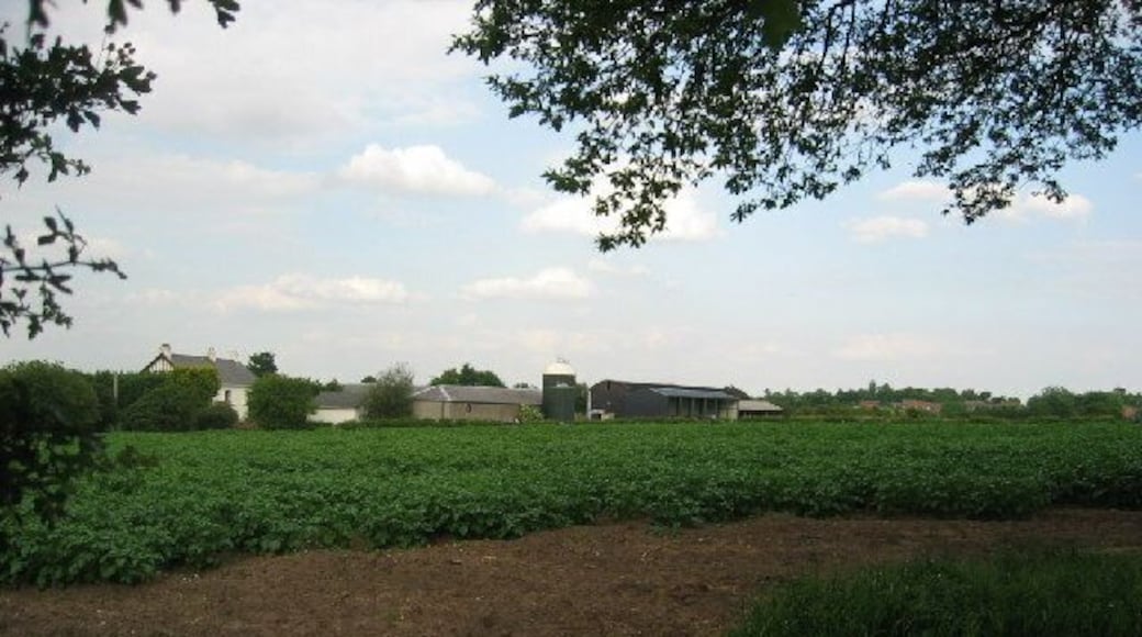 Home Farm, Norley. Taken from the B road (Norley Lane)looking East to the farm