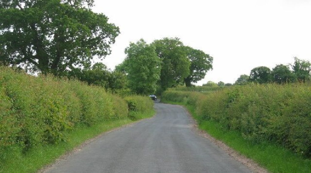 Norley Lane, Norley. A typical Cheshire lane with hedges and trees edging the fields.