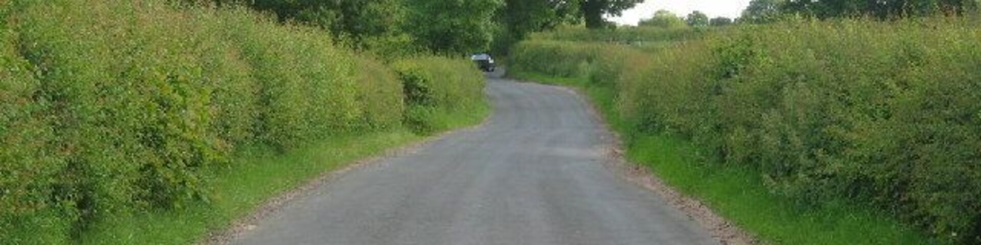 Norley Lane, Norley. A typical Cheshire lane with hedges and trees edging the fields.