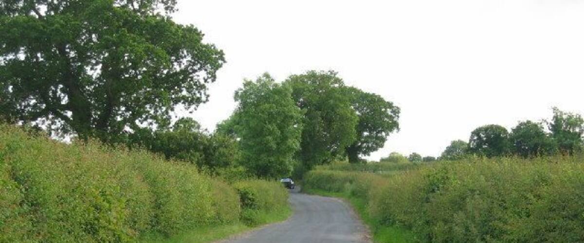 A rural road flanked by dense hedgerows and trees, leading into the distance.