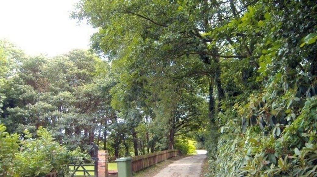 Crowton - Sandhole Lane. Crowton. View along Sandhole Lane (signed as unsuitable for motors) from just east of its junction with Marsh Lane.