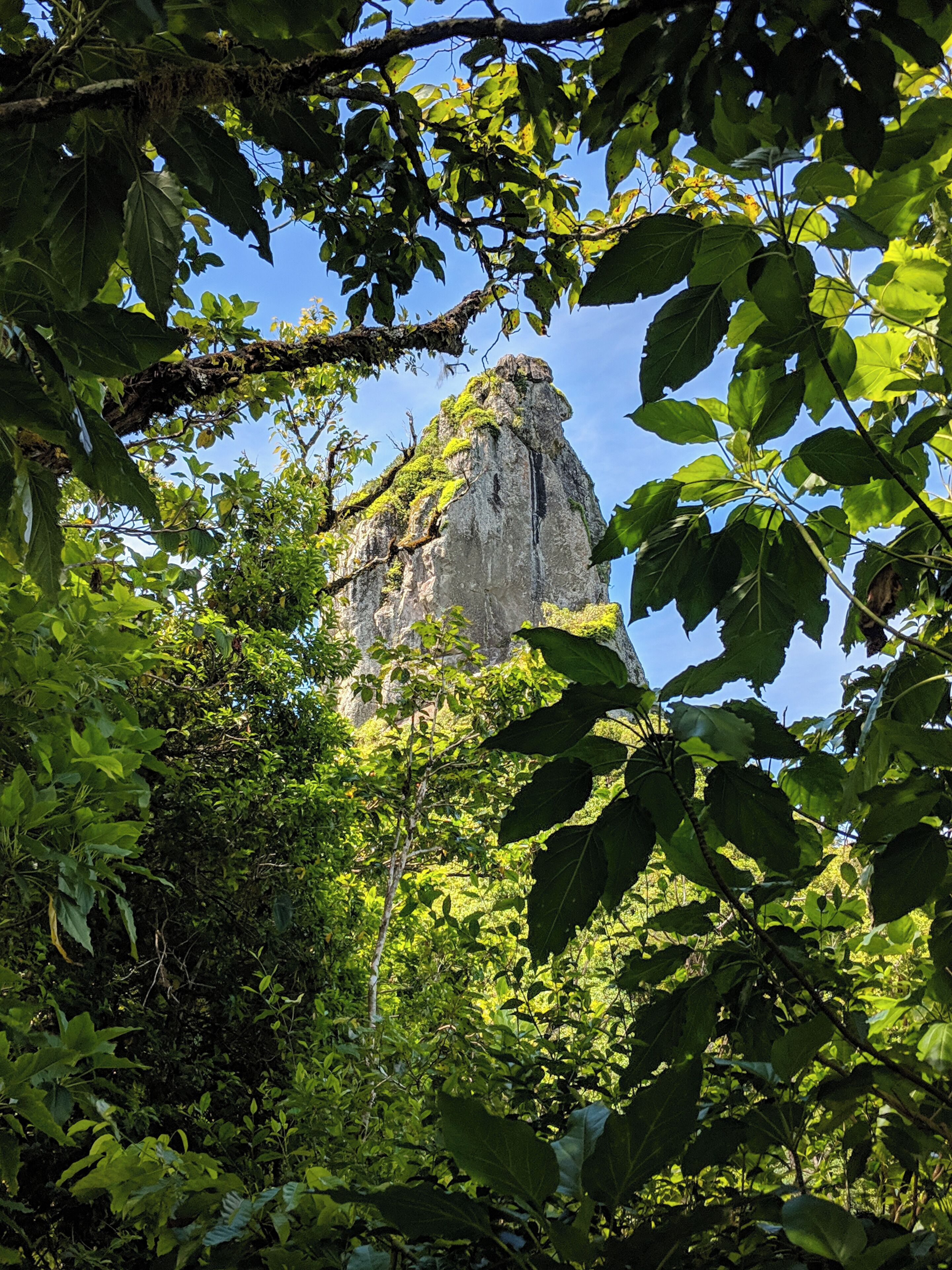 What an #adventure on our trip to "The Needle" one of the highest points on the island of #rarotonga