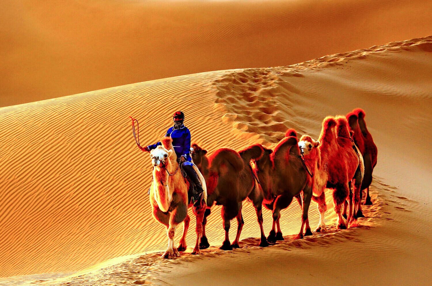 Beautiful #Esozoic-cenozoic Desert in the Inner Mongolia Autonomous Region of #China.
https://twitter.com/Beautifulgx