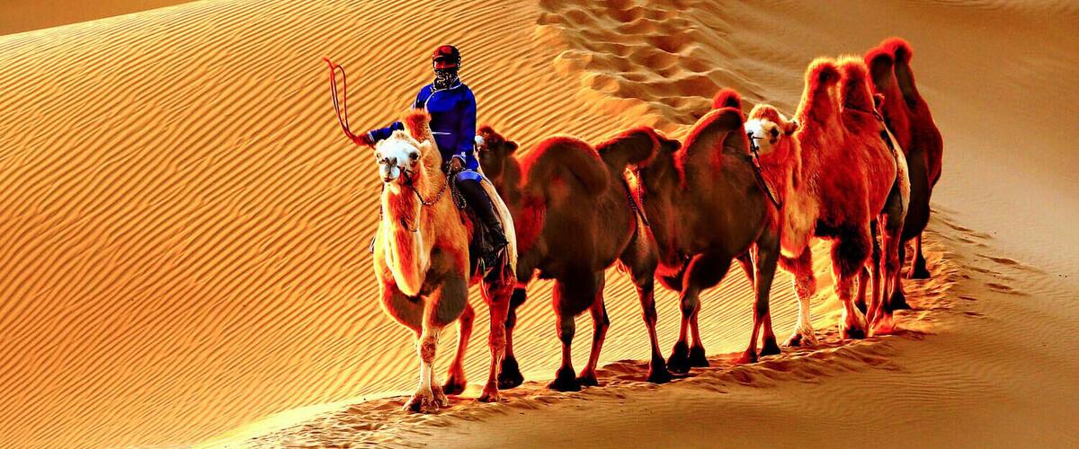 A person riding a camel in a desert with sand dunes.