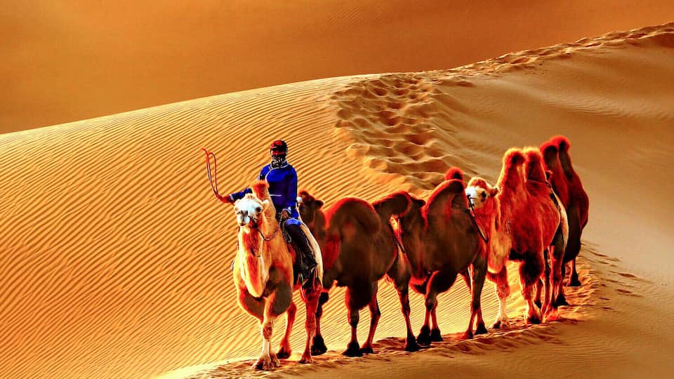 Beautiful #Esozoic-cenozoic Desert in the Inner Mongolia Autonomous Region of #China.
https://twitter.com/Beautifulgx