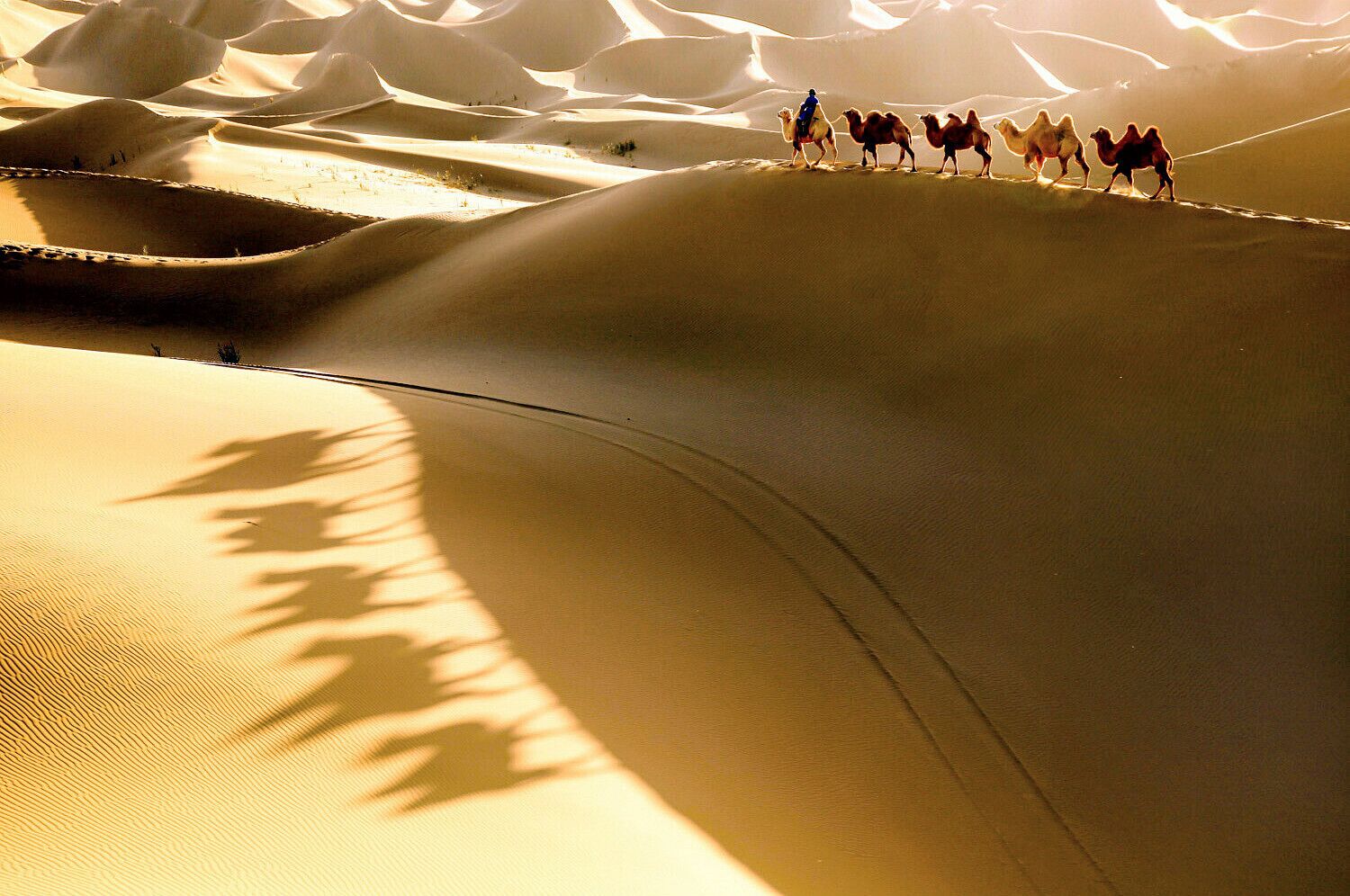 Beautiful #Esozoic-cenozoic Desert in the Inner Mongolia Autonomous Region of #China.
https://twitter.com/Beautifulgx