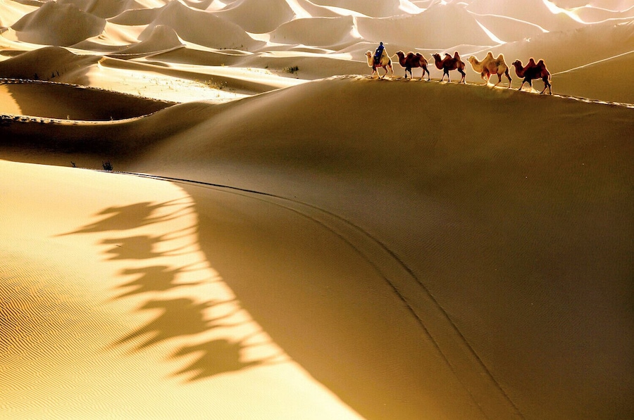 Beautiful #Esozoic-cenozoic Desert in the Inner Mongolia Autonomous Region of #China.
https://twitter.com/Beautifulgx
