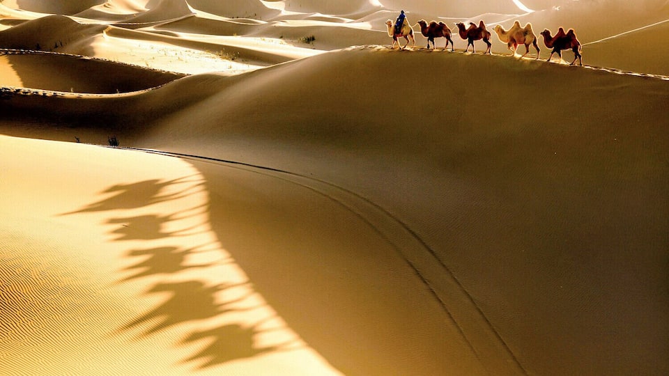 Beautiful #Esozoic-cenozoic Desert in the Inner Mongolia Autonomous Region of #China.
https://twitter.com/Beautifulgx