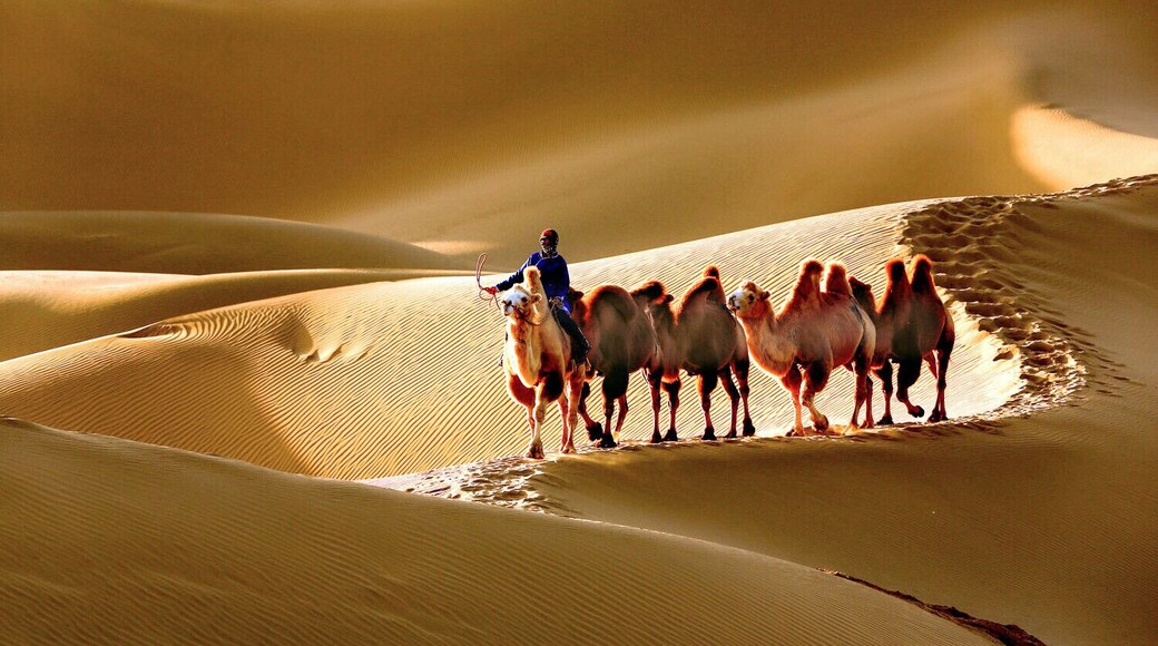 Beautiful #Esozoic-cenozoic Desert in the Inner Mongolia Autonomous Region of #China.
https://twitter.com/Beautifulgx