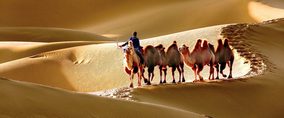 Beautiful #Esozoic-cenozoic Desert in the Inner Mongolia Autonomous Region of #China.
https://twitter.com/Beautifulgx