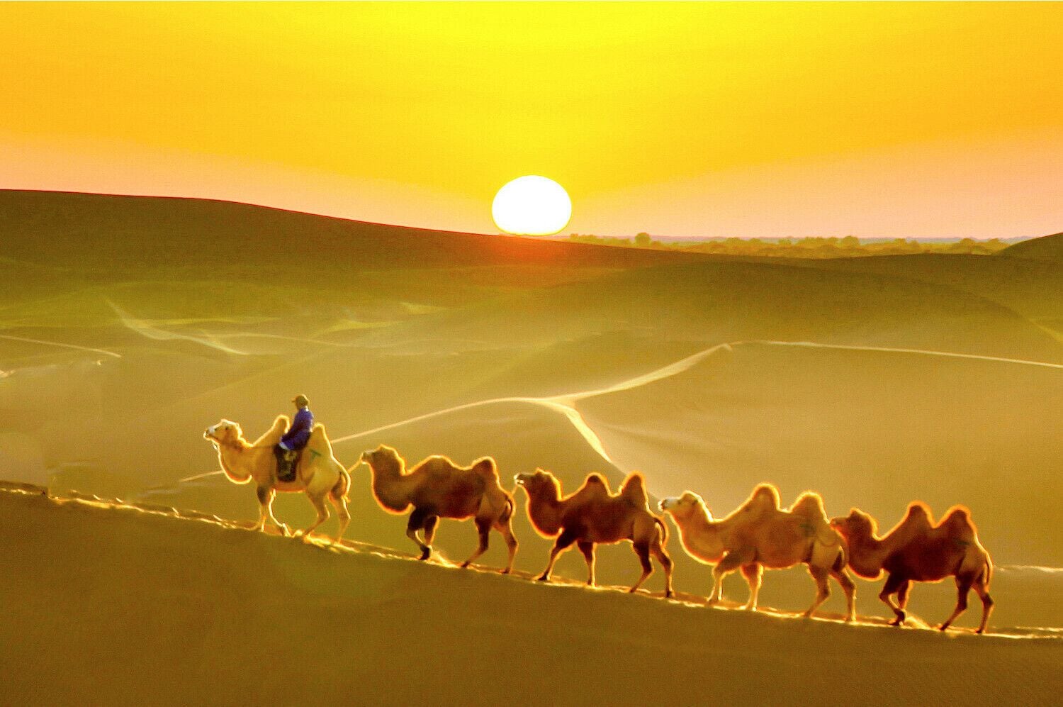 Beautiful #Esozoic-cenozoic Desert in the Inner Mongolia Autonomous Region of #China.
https://twitter.com/Beautifulgx