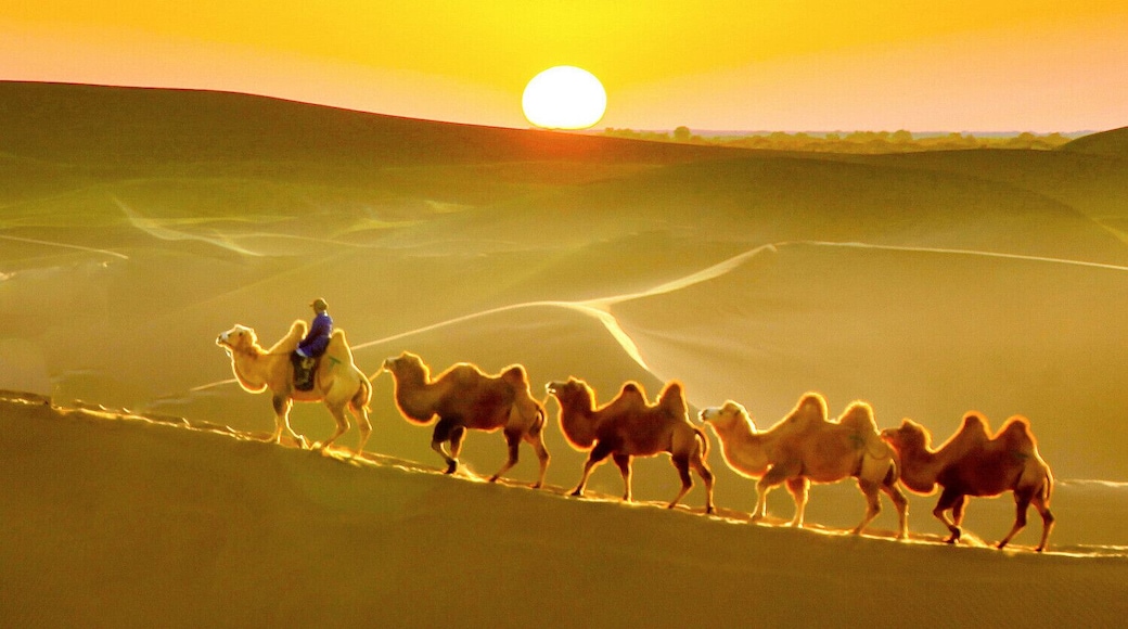 Beautiful #Esozoic-cenozoic Desert in the Inner Mongolia Autonomous Region of #China.
https://twitter.com/Beautifulgx