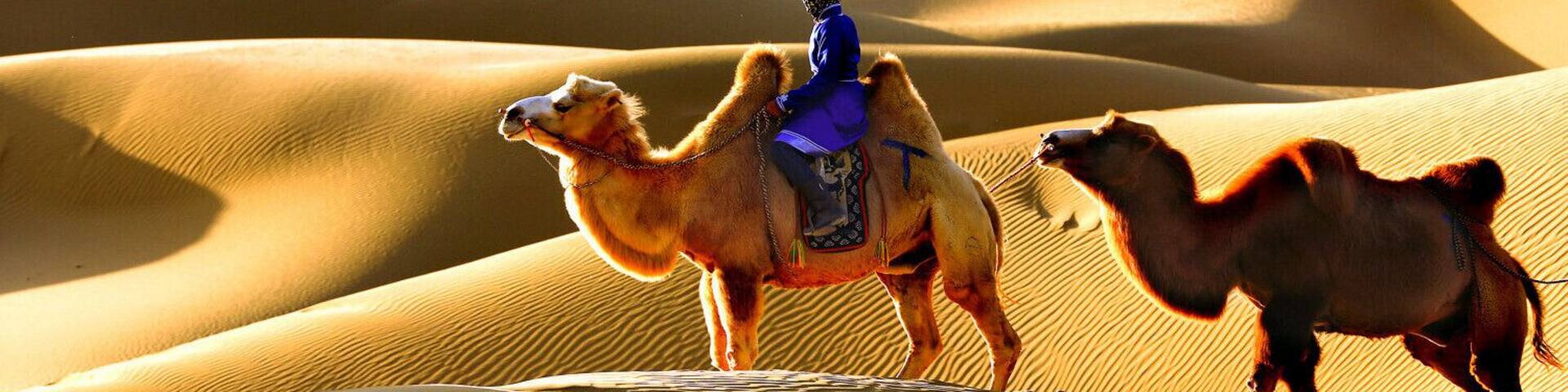 Beautiful #Esozoic-cenozoic Desert in the Inner Mongolia Autonomous Region of #China.
https://twitter.com/Beautifulgx