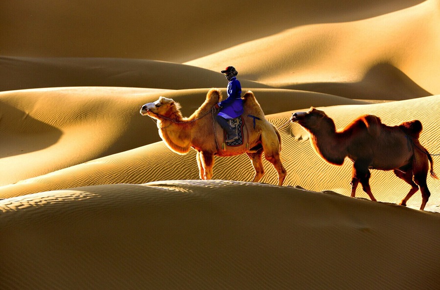 Beautiful #Esozoic-cenozoic Desert in the Inner Mongolia Autonomous Region of #China.
https://twitter.com/Beautifulgx