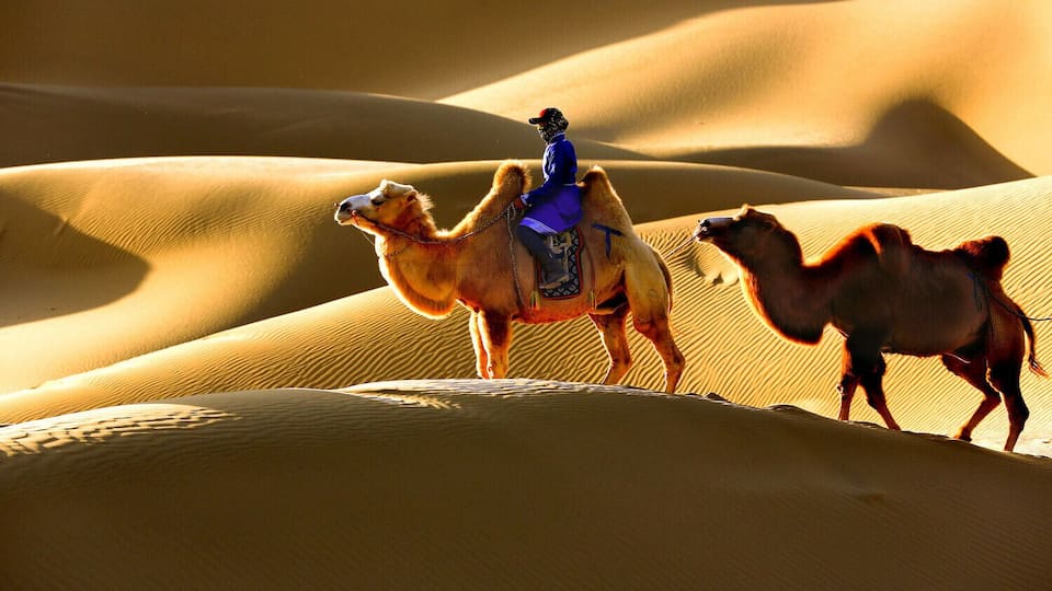 Beautiful #Esozoic-cenozoic Desert in the Inner Mongolia Autonomous Region of #China.
https://twitter.com/Beautifulgx