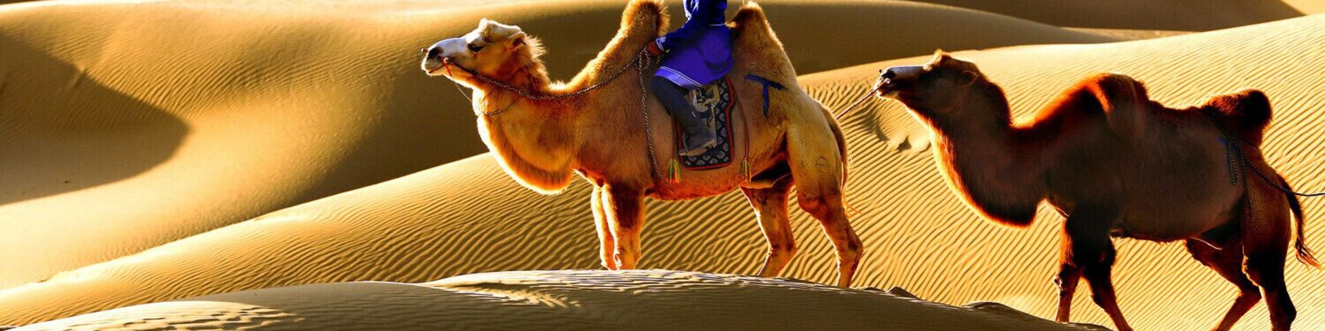 Beautiful #Esozoic-cenozoic Desert in the Inner Mongolia Autonomous Region of #China.
https://twitter.com/Beautifulgx