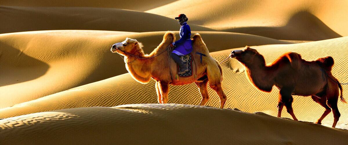 A camel with a rider in blue attire traversing a sand dune landscape.
