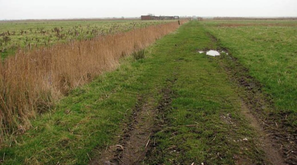 Farm track in pasture This track leads into a marsh pasture which adjoins Horsey Road in the east. It follows a drain which can be seen at left. What appears to be dilapidated farm buildings can be seen in the background (in adjacent grid square).