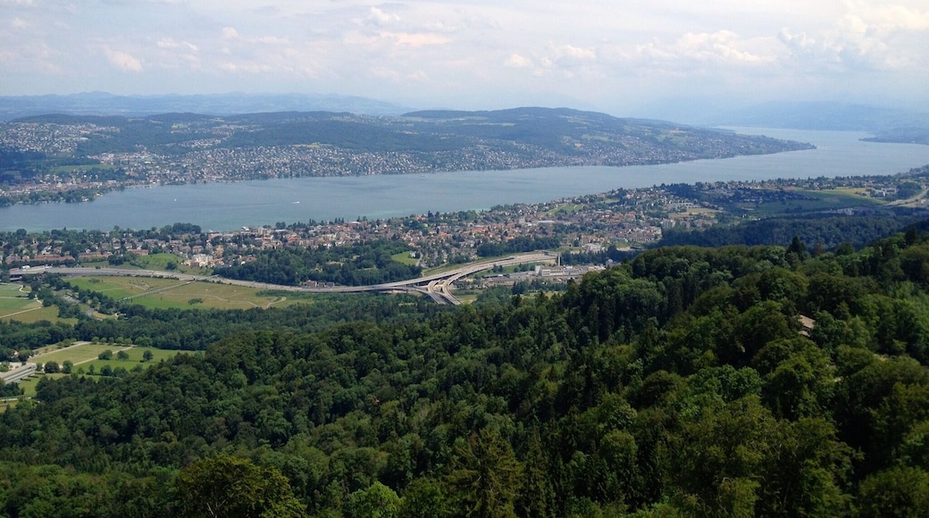 A beautiful place to go hiking with beautiful views of Zurich and the surrounding farmlands.