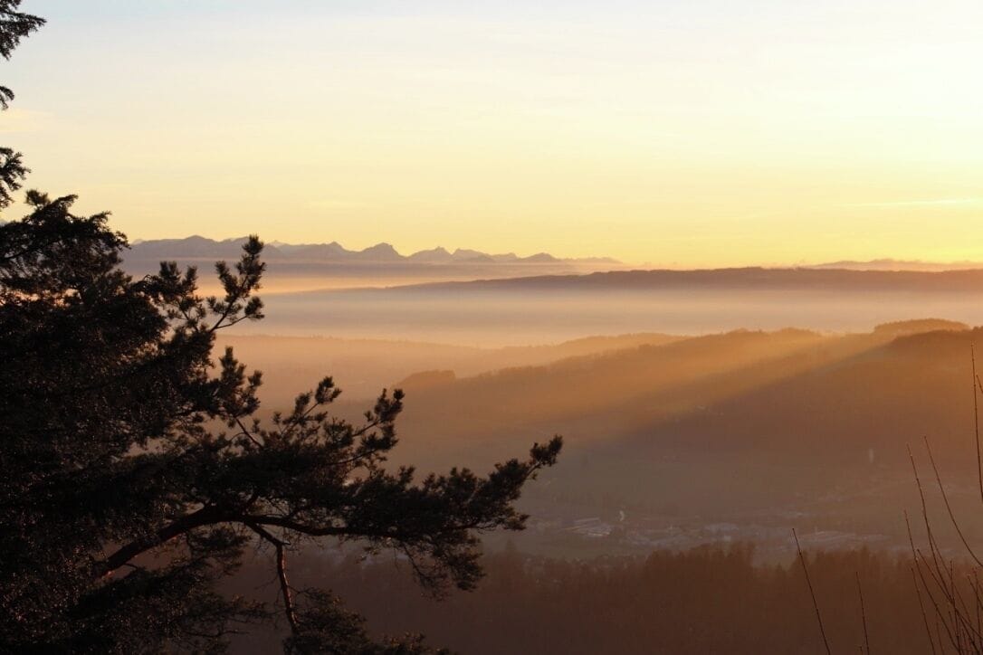 come here for sunset! you wont regret it, a 20 minute bus ride from the main station. the 'top of zurich'!