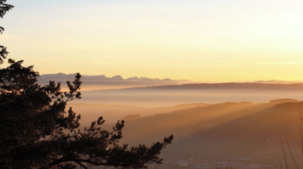 come here for sunset! you wont regret it, a 20 minute bus ride from the main station. the 'top of zurich'!