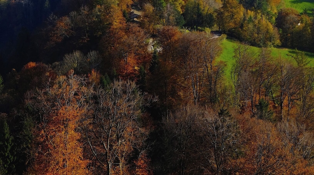 Zurich is a gorgeous city to begin with, situated around Lake Zurich and tucked away in the Swiss Alps, but my favorite way to view cities and their surroundings is always from above. And Zurich offered me Üetliberg Mountain with unbeatable views over the city, lake, Alps... Gorgeous any time of year, I would presume, but I loved the fall colors offered up by the trees. The hike up is, well, up, but that makes the hike down easy. 1-2 hours each way #hiking