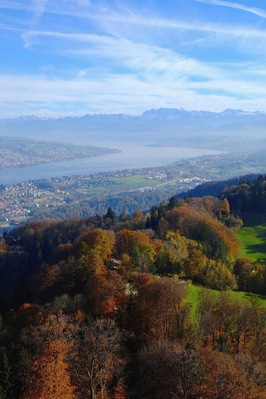 Zurich is a gorgeous city to begin with, situated around Lake Zurich and tucked away in the Swiss Alps, but my favorite way to view cities and their surroundings is always from above. And Zurich offered me Üetliberg Mountain with unbeatable views over the city, lake, Alps... Gorgeous any time of year, I would presume, but I loved the fall colors offered up by the trees. The hike up is, well, up, but that makes the hike down easy. 1-2 hours each way #hiking