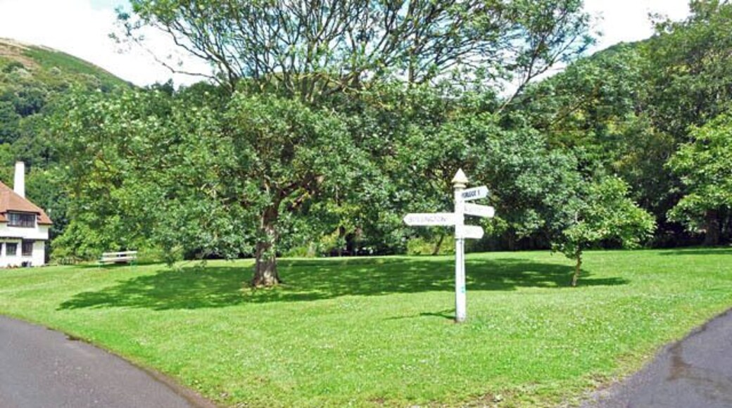 Bossington village green There are several walnut trees on and around the green.