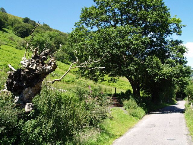 View from Old Blaina Road