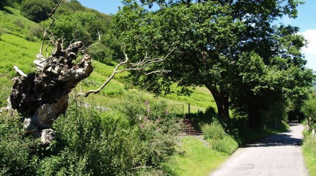 View from Old Blaina Road