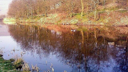 Cwmcelyn Pond, Blaina. This pond was once a feeder pond for local collieries, now it is stocked with fish and a home for Mallard and Moorhen, a pair of Mallard can just be seen just off centre.