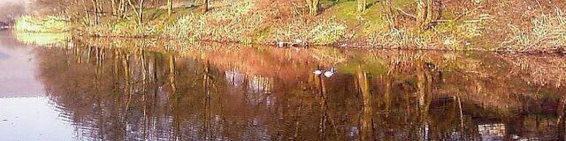 Cwmcelyn Pond, Blaina. This pond was once a feeder pond for local collieries, now it is stocked with fish and a home for Mallard and Moorhen, a pair of Mallard can just be seen just off centre.