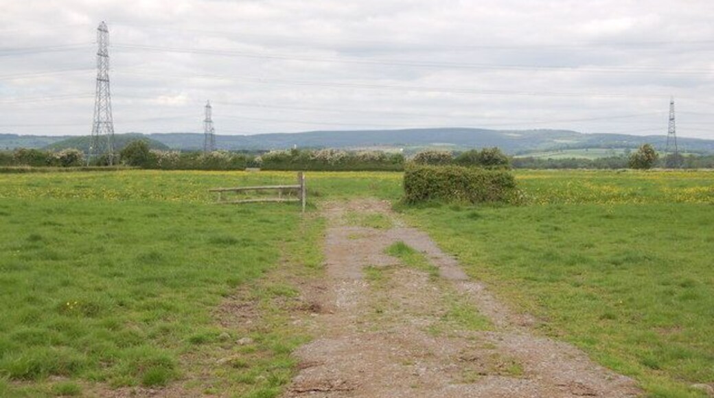 Powerlines crossing the Gwent Levels View looks northwards across the flat, low lying land near Summerleaze. The powerlines linking with Uskmouth Power Station dominate the landscape.