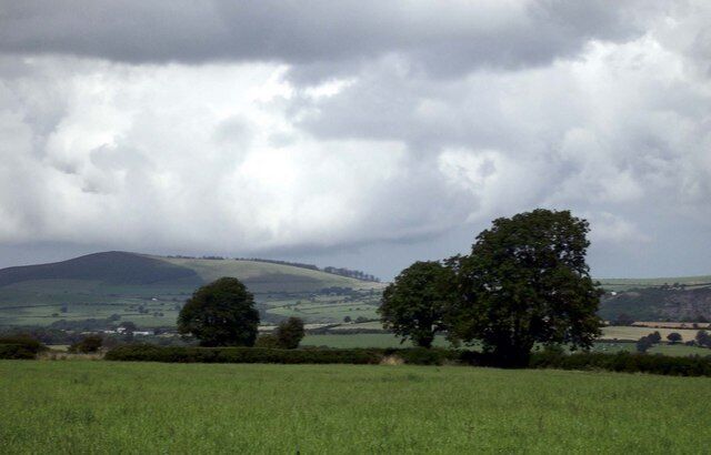 Field above Afon Dyfnant Frenni Fawr plantation in background