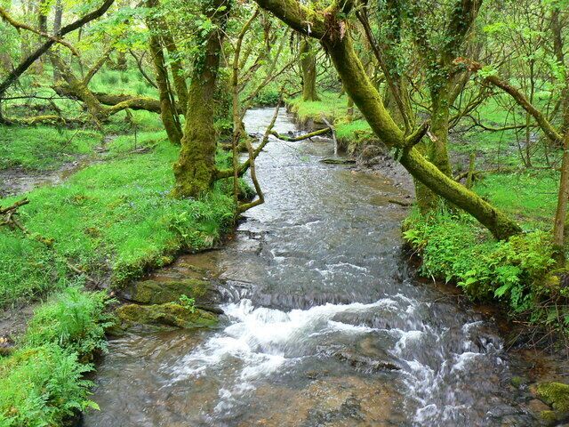Afon Tigen, Pont Ty-coed, Fron-isaf An idyllic location in less than idyllic weather. This is a view upstream of the stream that flows west into the Afon Taf at Llanglydwen about a kilometre west.