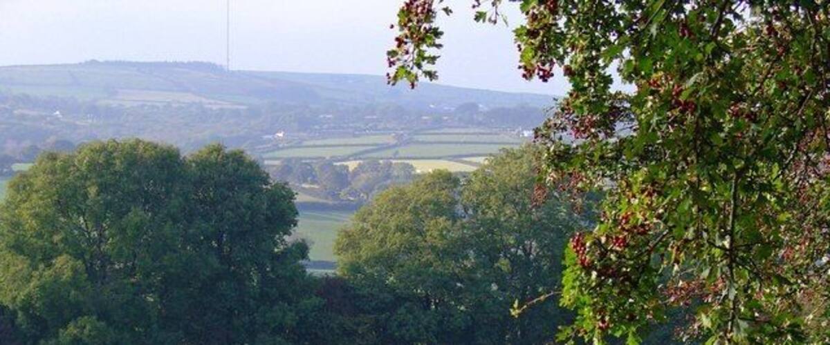 A green field with sheep grazing, trees, and a distant view of hills.