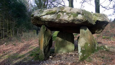 Gwal-y-filiast from the southwest Four upright stones support the capstone with the 'opening' seen here facing west towards the river in the valley below. On this visit there was an assortment of sticks inside the chamber and a scattering of mussel shells within and without, which must have been brought here for some purpose - an offering or a meal?