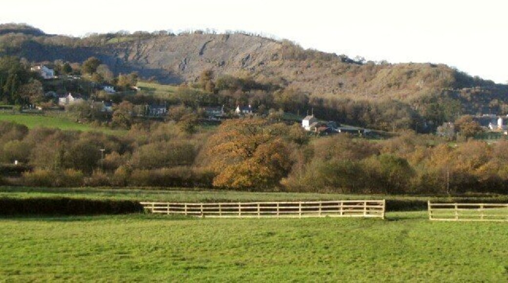Cilyrychen quarry at Llandyie. This is the view of the biggest quarry at Llandybie as seen from the southeast on the road to Trapp.