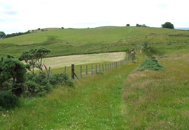 Bridleway and rough grazing near Bwlch-Llan, Ceredigion The bridleways in this area are well signed with rider friendly gates, and provide excellent scenic walks, on two legs or four.