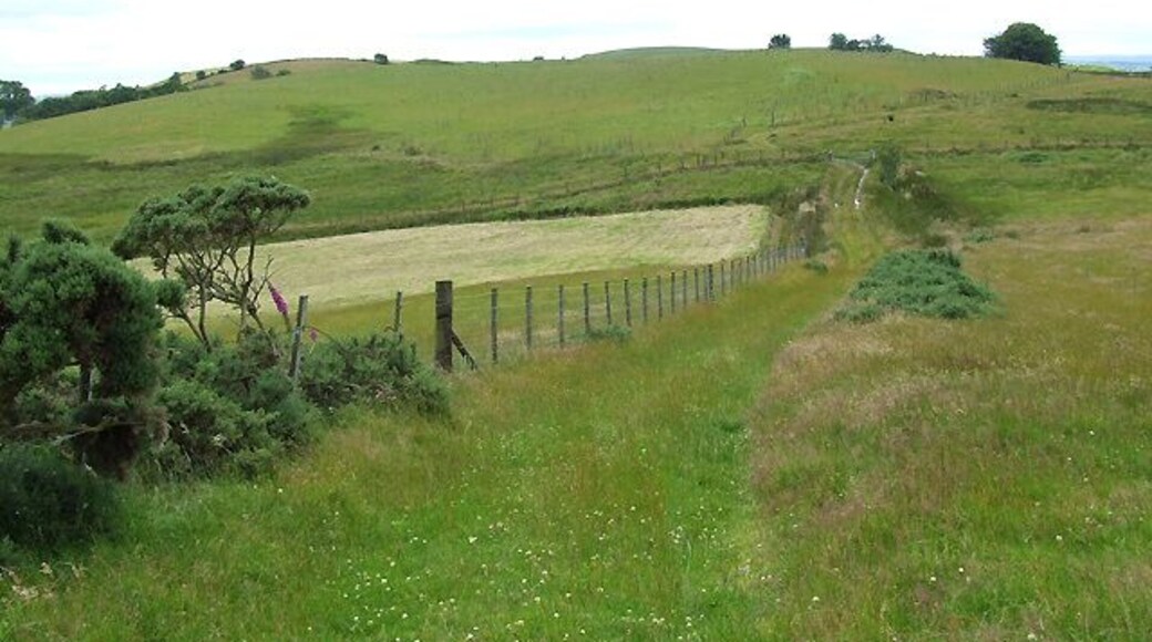 Bridleway and rough grazing near Bwlch-Llan, Ceredigion The bridleways in this area are well signed with rider friendly gates, and provide excellent scenic walks, on two legs or four.