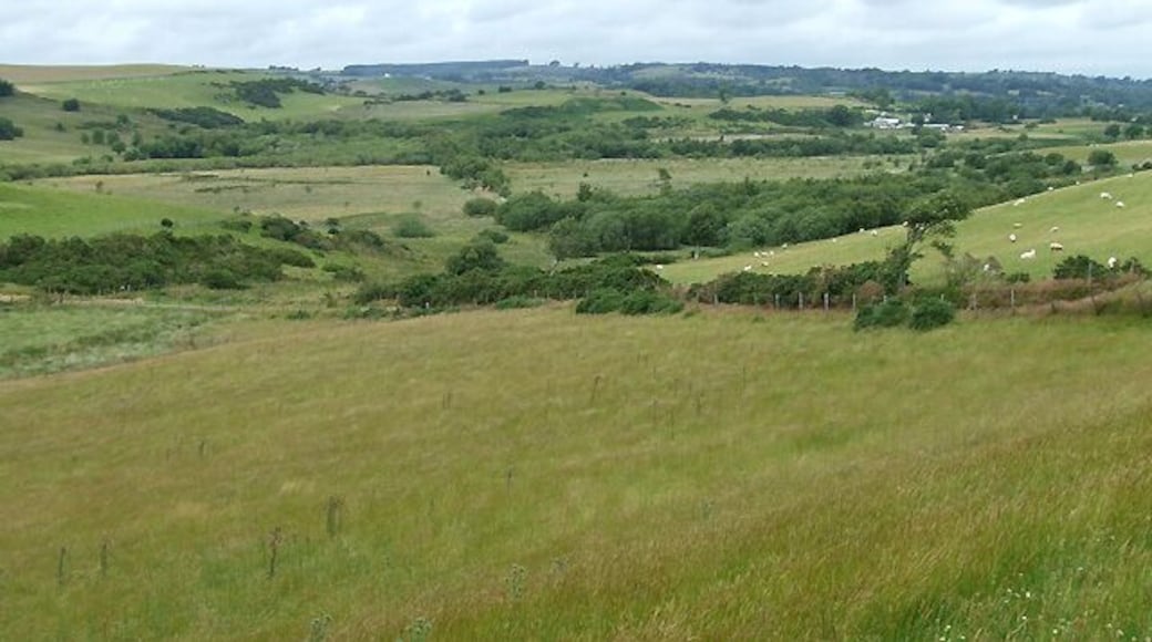 Farmland north of Bwlch-Llan, Ceredigion Mostly grazing land, some of it rough.