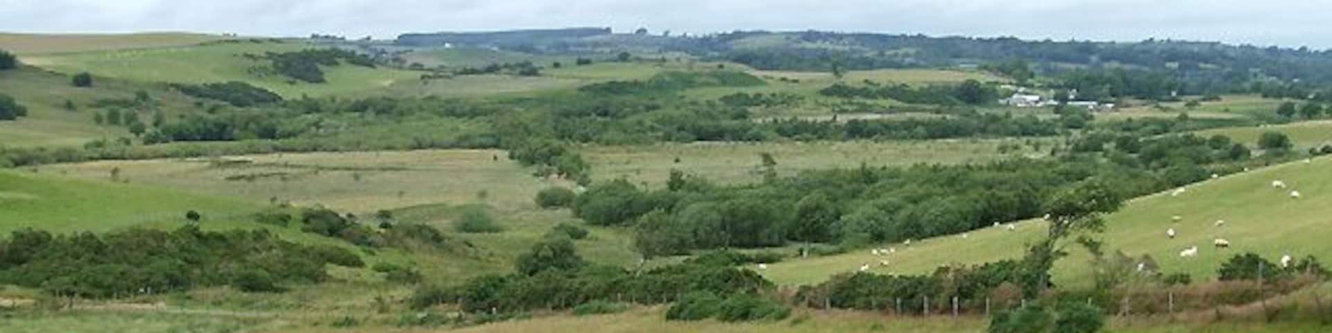 Farmland north of Bwlch-Llan, Ceredigion Mostly grazing land, some of it rough.