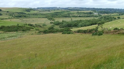 Farmland north of Bwlch-Llan, Ceredigion Mostly grazing land, some of it rough.