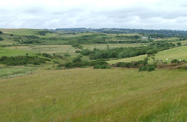 Rolling hills, green fields, and scattered trees.