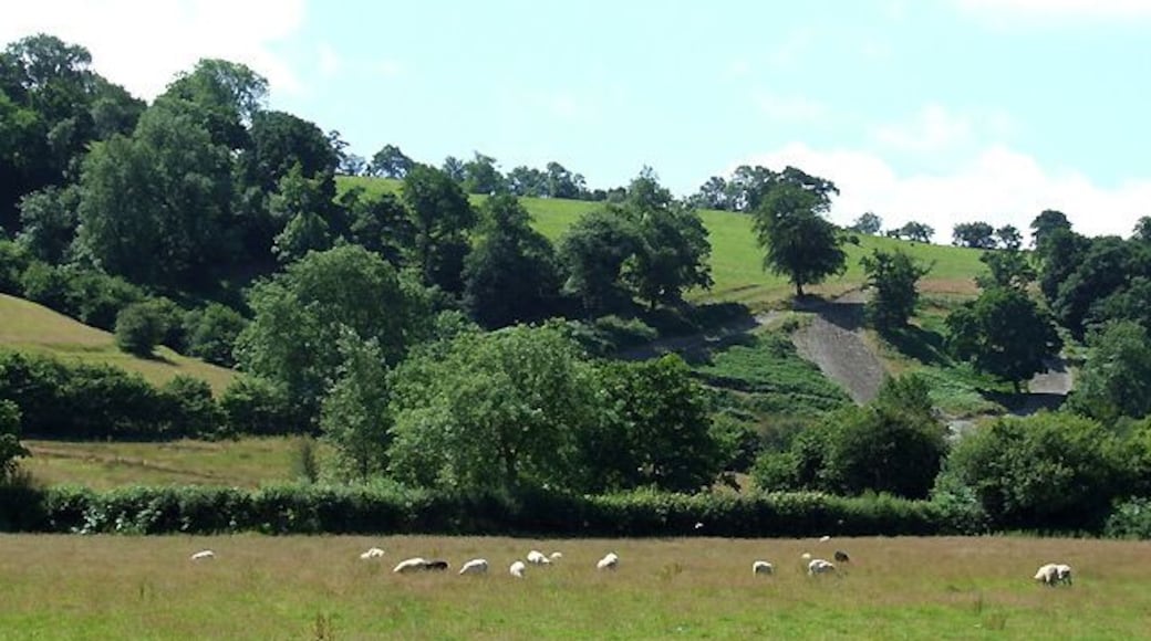 Grazing on the Afon Aeron floodplain, Ceredigion The river flows just beyond the hedge. Note the erosive eyesore on the hillside, part of a motor-cycle scramble course.
