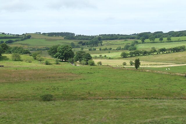 Farmland north-west of Bwlch-Llan, Ceredigion Undulating land almost exclusively given over to grass and grazing.