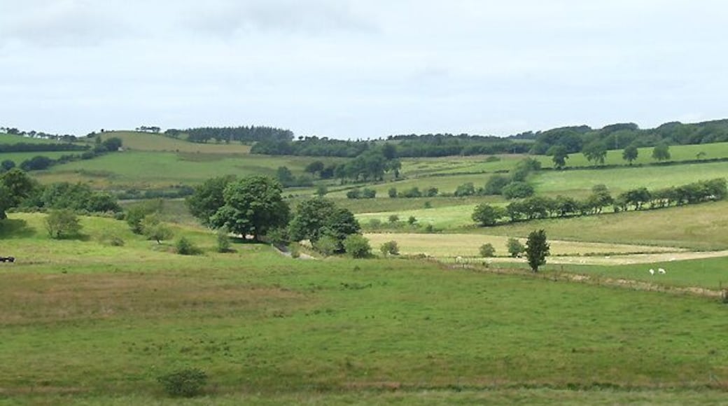 Farmland north-west of Bwlch-Llan, Ceredigion Undulating land almost exclusively given over to grass and grazing.